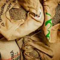Zrnková káva - Ethiopia Boji Kochere - 100% Arabica