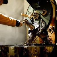 kávový pražič průmyslový osoba v hnědé mikině obsluhuje pražící zařízení z výstupu padají pražená zrna