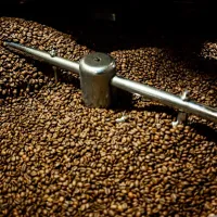 Pražená kávová zrna na dně bubnové pražičky s kovovým míchacím ramenem