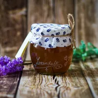 Bylinný sirup Zázvor ze Slezské zahrádky 500 ml