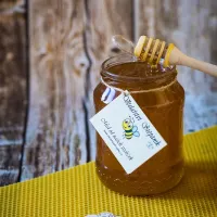 Med květový ze Slezské zahrádky 0,5 kg