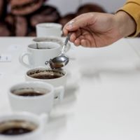 Kávová degustace (cupping) - poslední týden v březnu (termín upřesníme)