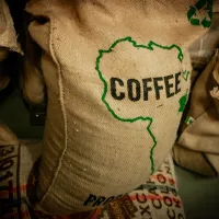 balení kávy jutový pytel s nápisem COFFEE a zeleným vyobrazením kontinentu