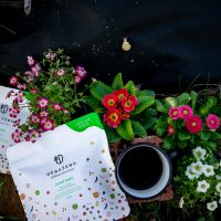 Jarní směs - Zrnková káva 100% Arabica 250 g