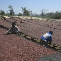 Snímek obrazovky 2026-02-12 v 6