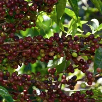 Snímek obrazovky 2026-02-12 v 6