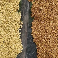 Snímek obrazovky 2026-02-12 v 6