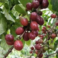 Snímek obrazovky 2026-02-12 v 6